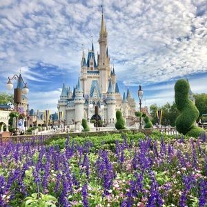 Meet your Posher, Bobbye